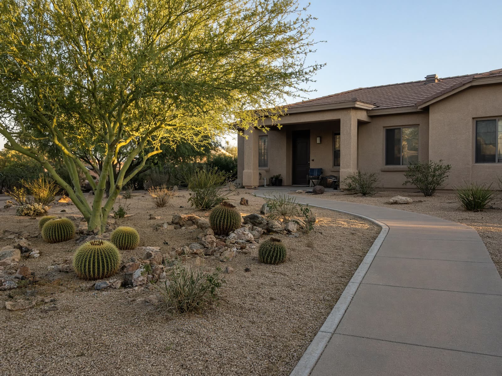 A tidy desert yard with rock, cactus, and a palo verde.